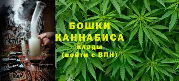 Альфа ПВП Белокуриха